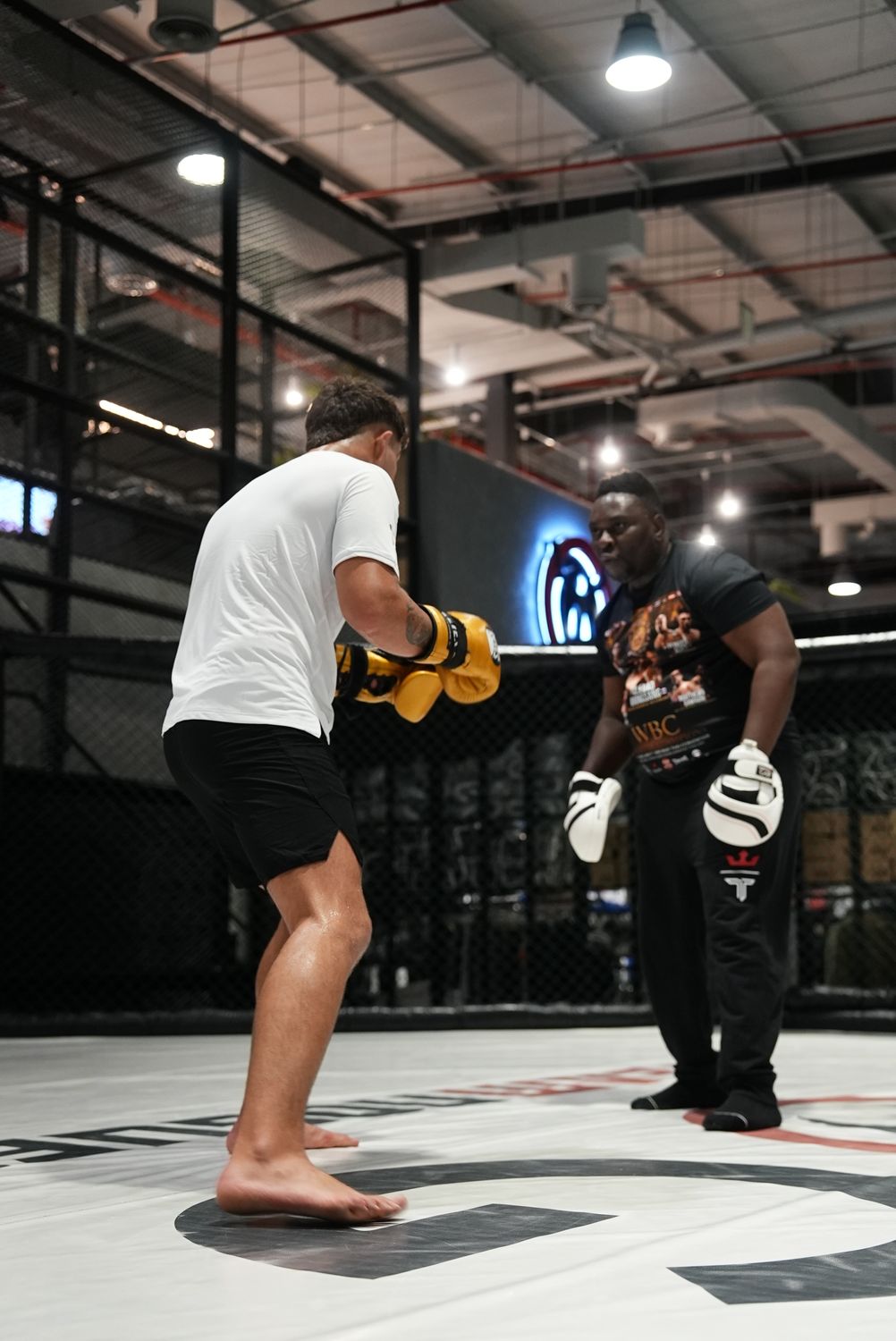 Fighter working combinations on the pads during training